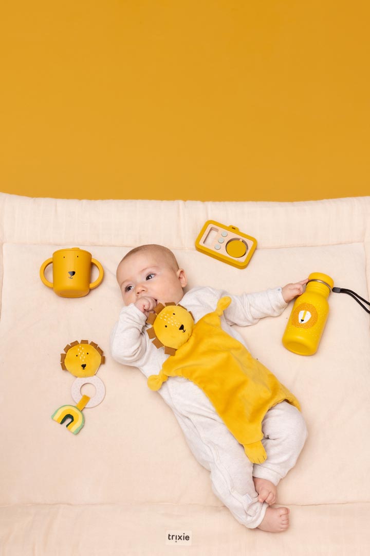 Baby comforter - Mr. Lion